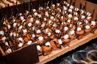 Black Tie Tailgate 2025 (General Event Photos)