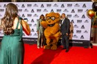 Black Tie Tailgate 2026 (The Red Carpet)