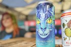 The Arlington All-Star Festival 2022 Gallery 4