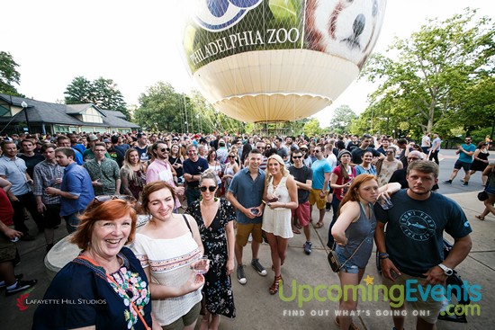Summer Ale Festival at The Zoo!