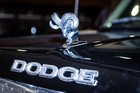 Black Tie Tailgate 2024 (Car Photos)