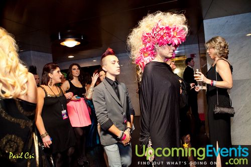Hair O' The Dog (Gallery B)