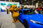 Black Tie Tailgate 2026 (General Event Photos)