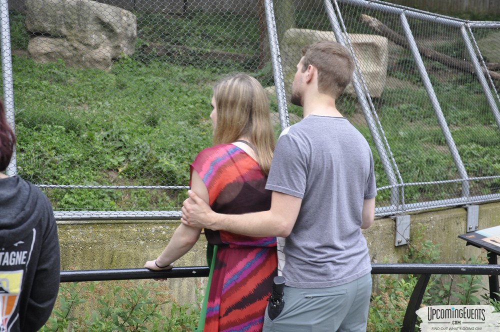 Summer Ale Festival at The Phladelphia Zoo