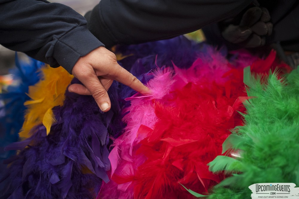 Mummers Mardi Gras Festival (Candid Gallery 1)
