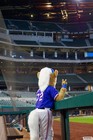 The Arlington All-Star Festival 2022 Gallery 2