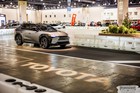 Black Tie Tailgate 2023 (General Event Photos)