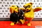 Black Tie Tailgate 2023 (The Red Carpet)
