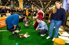 Black Tie Tailgate 2026 (General Event Photos)
