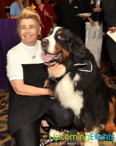 Good Dog Gala