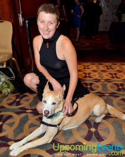 Good Dog Gala