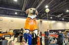 Black Tie Tailgate 2024 (General Event Photos)