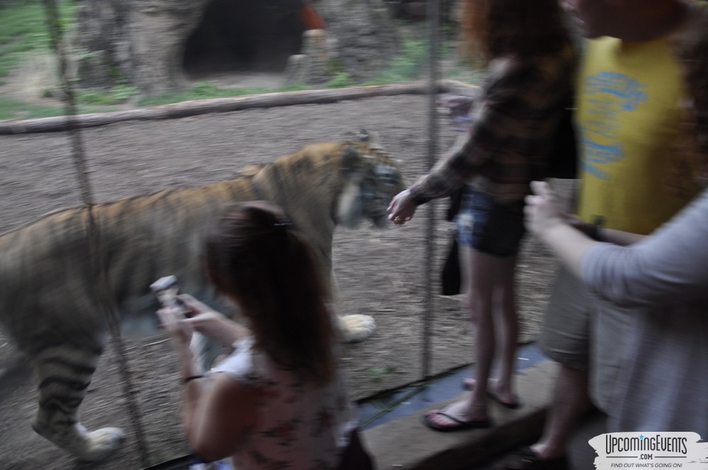 Summer Ale Festival at The Phladelphia Zoo
