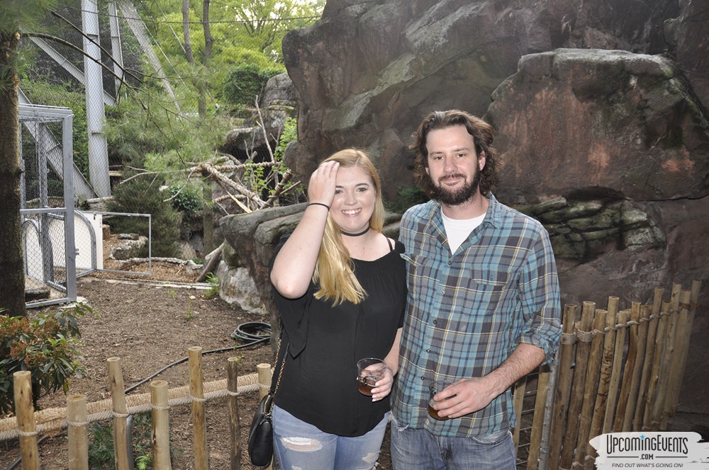 Summer Ale Festival at The Phladelphia Zoo