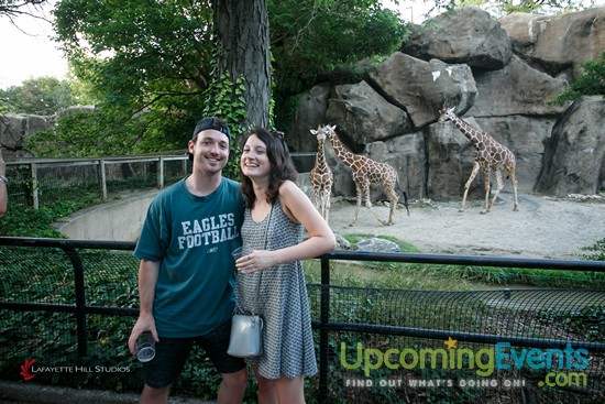 Summer Ale Festival at The Zoo!