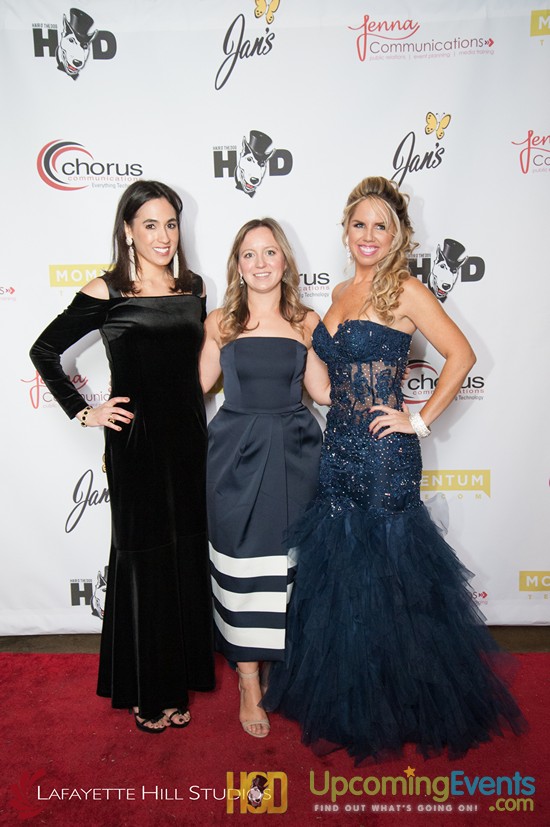 Hair O' The Dog 2017 (Red Carpet)
