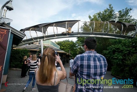 Summer Ale Festival at The Zoo!