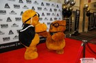 Black Tie Tailgate 2023 (The Red Carpet)