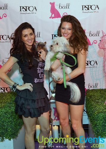 Bad Dog Ball
