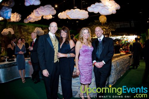 Red Ball 2012 Gallery 3