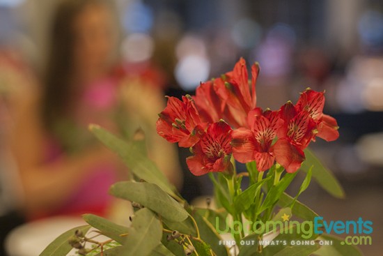 The 2017 Red Ball