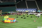 The Arlington All-Star Festival 2022 Gallery 1