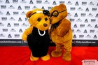 Black Tie Tailgate 2023 (The Red Carpet)