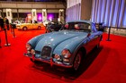 Black Tie Tailgate 2024 (Car Photos)