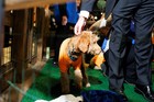 Black Tie Tailgate 2025 (General Event Photos)